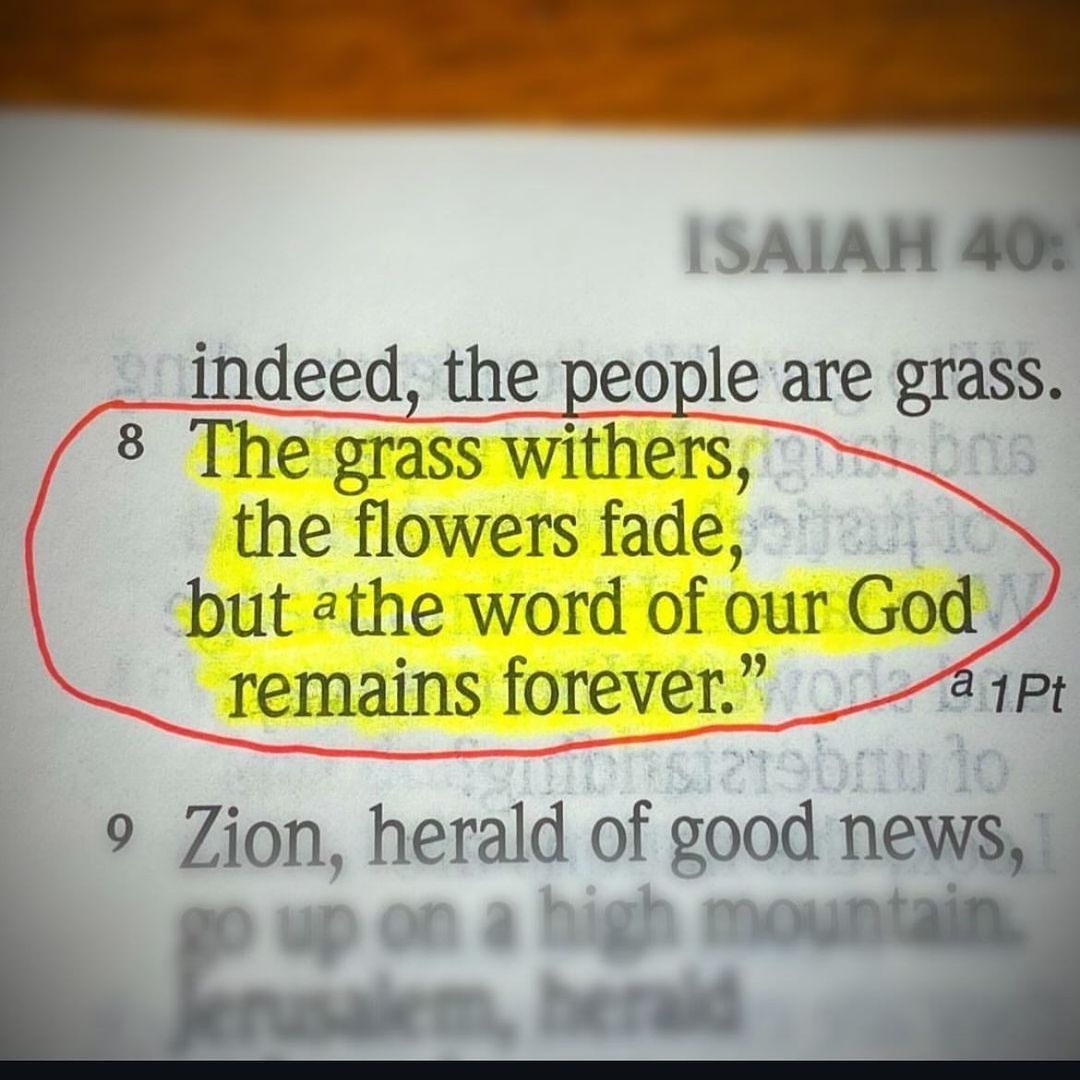 Bible 365 (@bible365_) on Twitter photo 