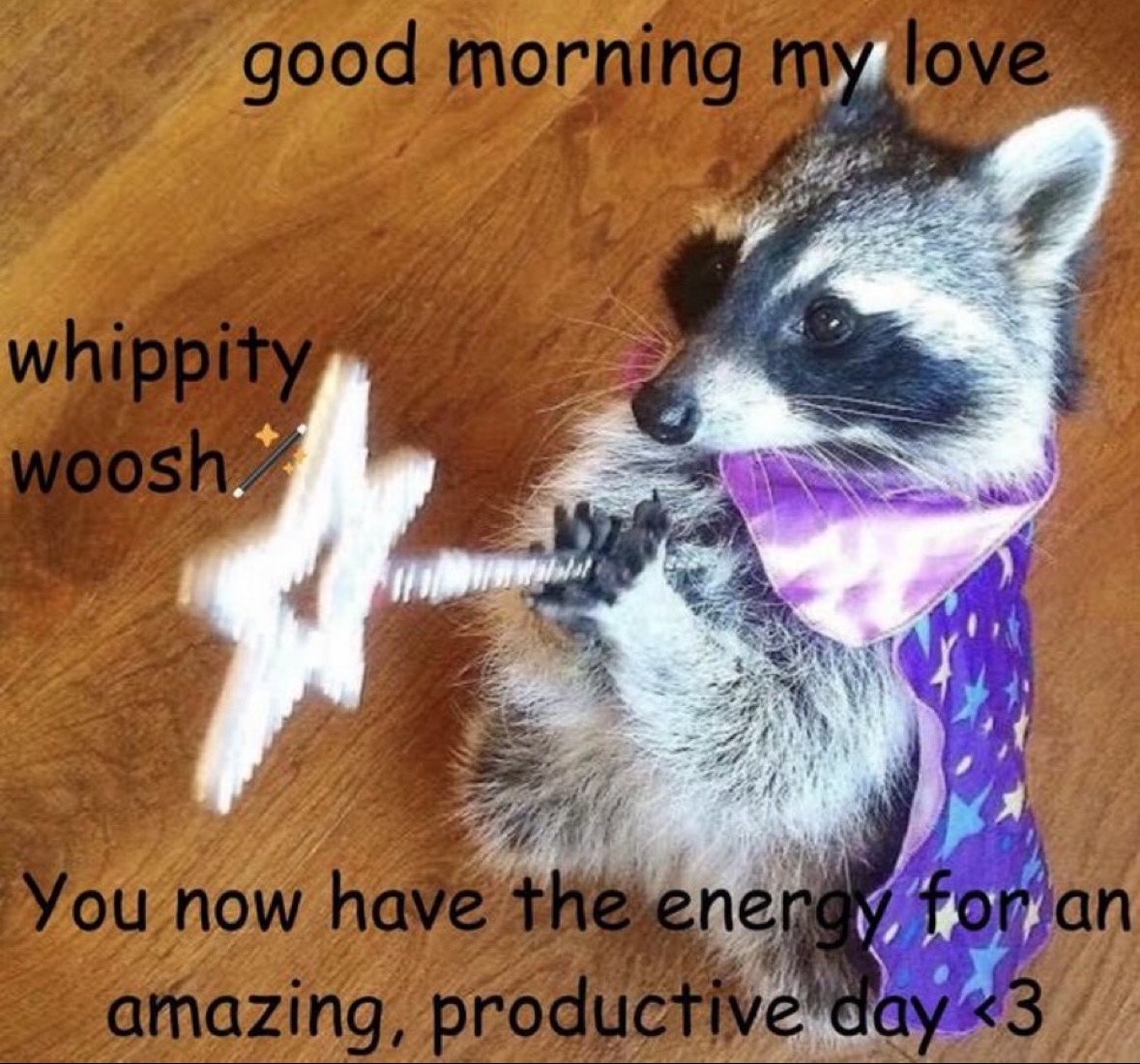 raccoonesthetic's tweet photo. https://t.co/Zqk5y3xw05