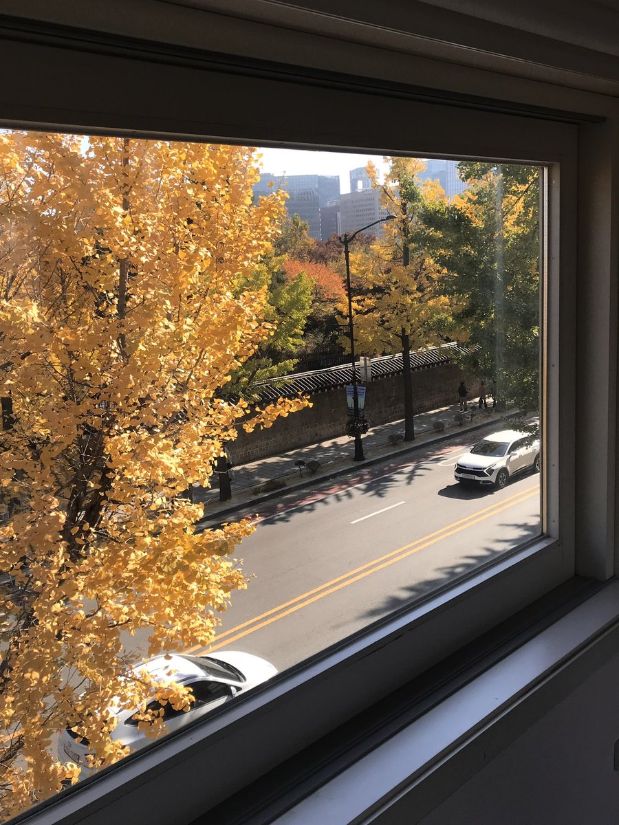 경북궁은 딱 지금 가야해요 
안 춥고 단풍구경하기 최고 ,, 🍂🤎