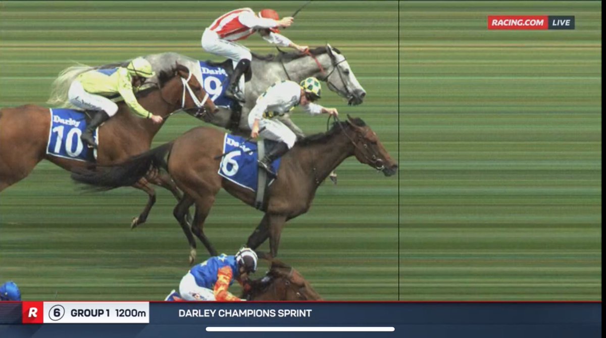 rtralphy's tweet photo. Sunshine In Paris on the quick back up wins the Champions Sprint at Flemington
Our Sizzlers write up from Rosehill last Saturday 👇
Bella Nipotina needed the run #onetofollow https://t.co/4zSsHplQ9Y