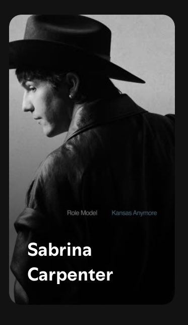 Spotify has confirmed my theory that <a href="/rolemodel/">ROLE MODEL</a> is actually Sabrina Carpenter