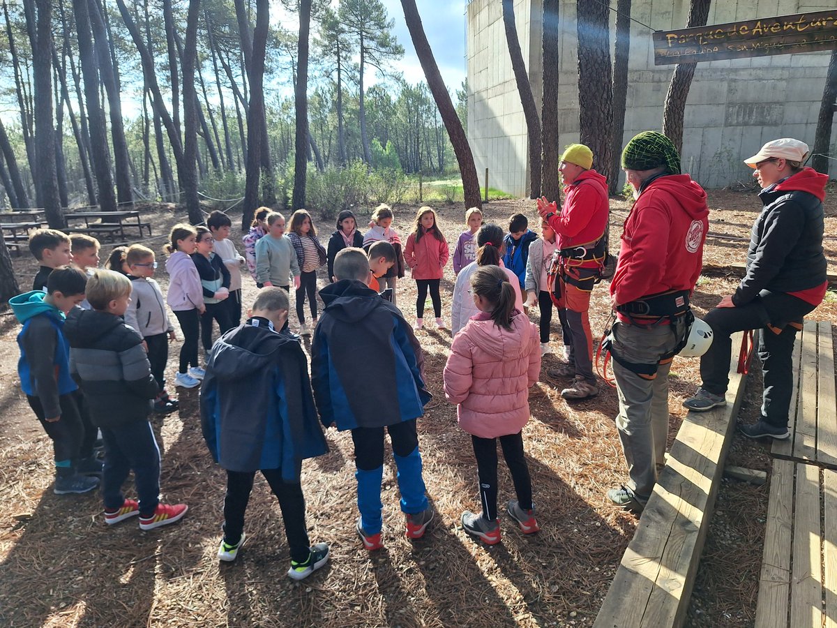 deportesdipusal's tweet photo. Buenos días familias 👋. Ya estamos disfrutando en #campamento #multiaventura del parque de cuerdas de San Miguel de Valero @deportesdipusal. Tenemos buen día 🌞 y muchas ganas de pasarlo genial 😊 https://t.co/pB5L4FI3t5