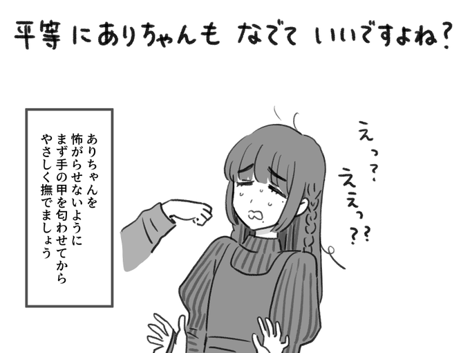 ありちゃんを怖がらせないように、まず手の甲を匂わせてから優しく撫でましょう 