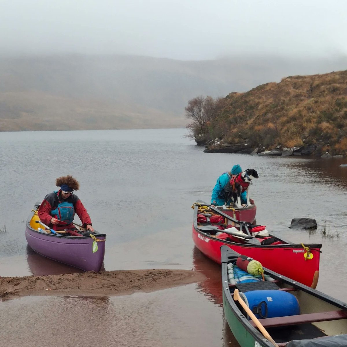 Mal & MarionTabb tweet media