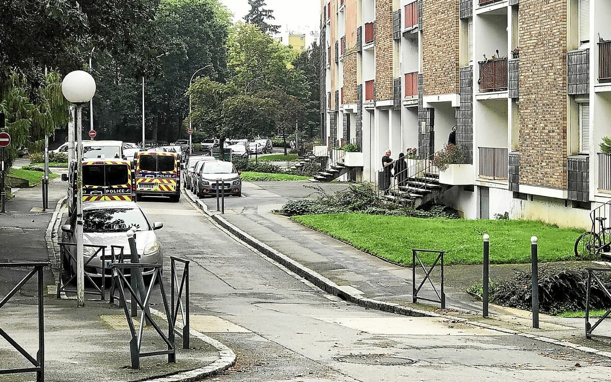 Narcotrafic à Rennes : comment le retour de deux trafiquants a mis le feu à tout un quartier
➡️ go.letelegramme.fr/MQL0
