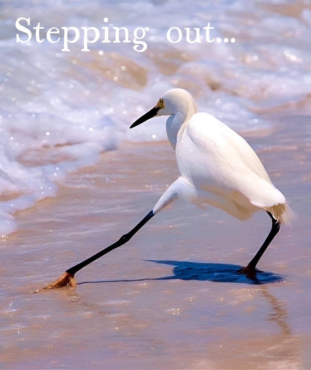 Getting ready to put my head in the sand... 
#BubbleLife