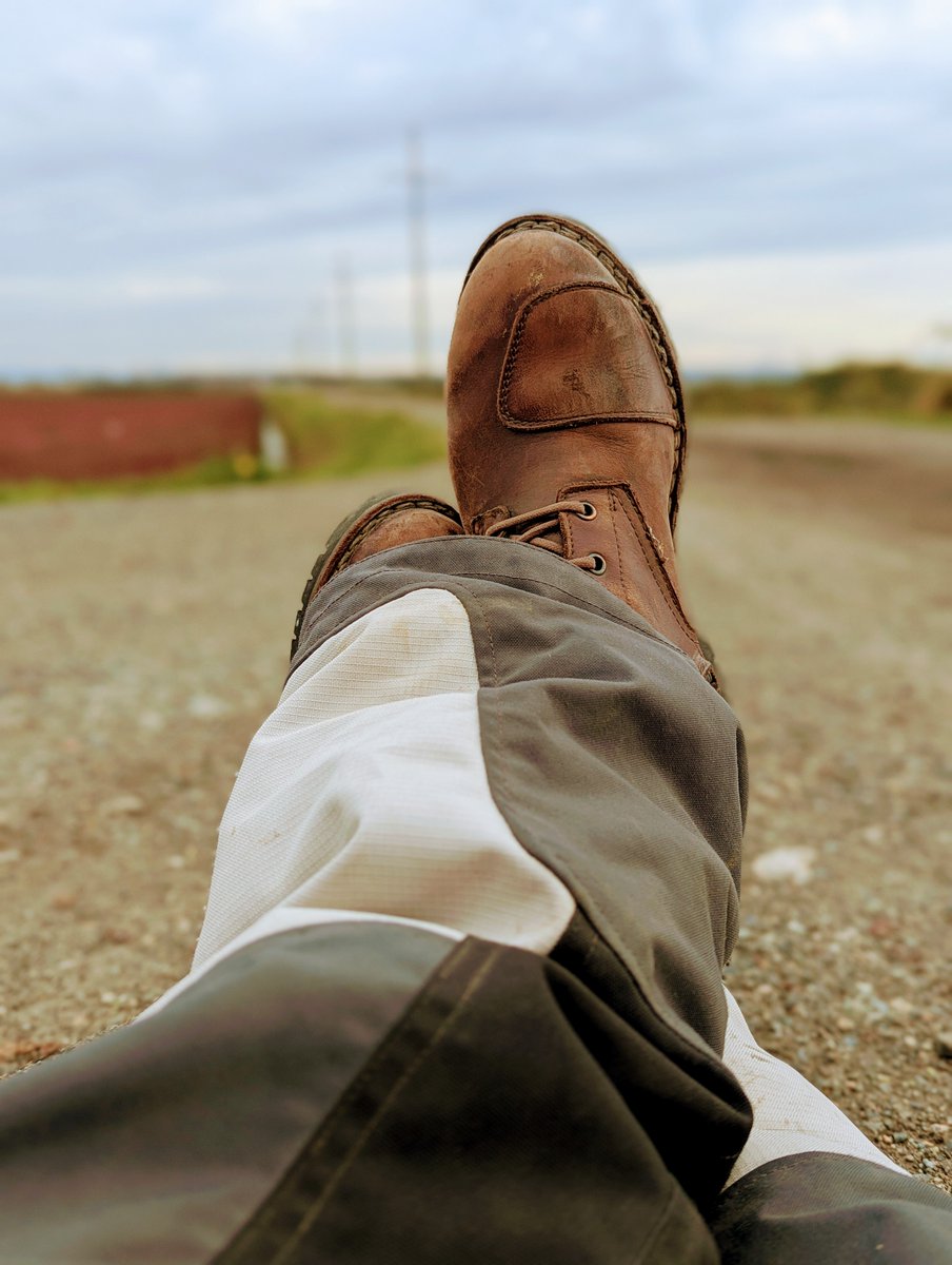 There was a break in the rain today, so I pulled out one of the bikes. Found an area with cattle, and cranberry, farms. Had to sit on the dirt and enjoy the quiet.