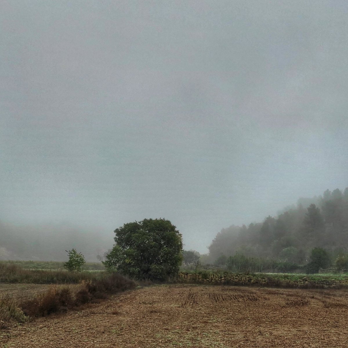 Bon dia, fora del poble el món s'esborra...
#somtrescentsipico #esplugacalba