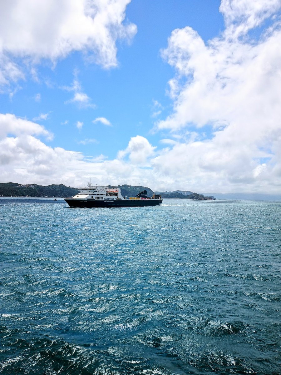 Matthew (he/him) 🇪🇺🏳️‍🌈🏳️‍⚧️♂️♀️⚧️♿ tweet media