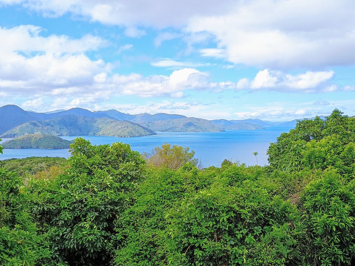 Matthew (he/him) 🇪🇺🏳️‍🌈🏳️‍⚧️♂️♀️⚧️♿ tweet media