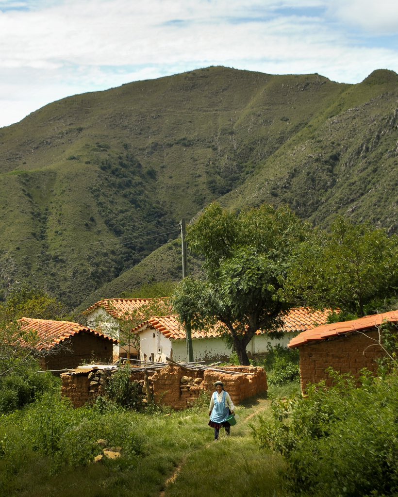 Chester Zoo tweet media