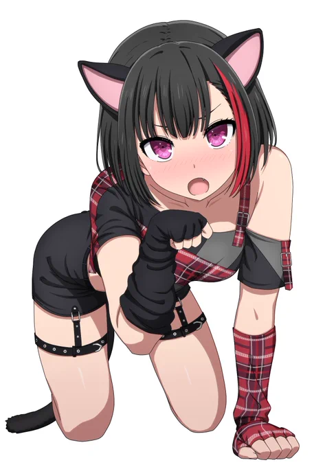 猫蘭 