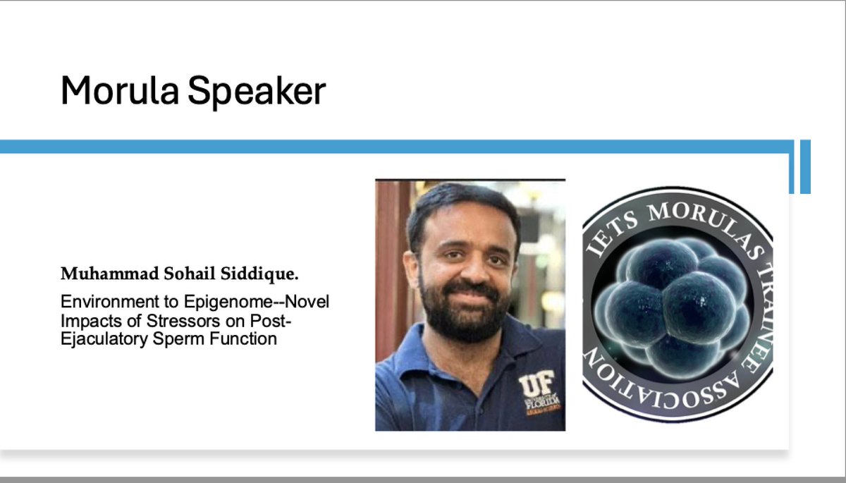 IETS_Morulas's tweet photo. The Morulas are inviting you to our third research webinar of 2024!
Tuesday, November 12th
9 a.m. US Pacific Time

Registration link
https://t.co/AwucAHuv8G https://t.co/wTpr6wLBiy
