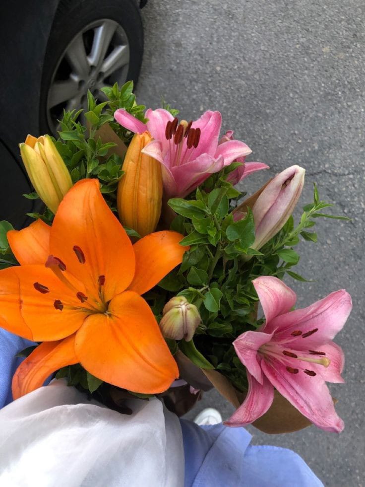 onlyyouforeveer's tweet photo. bouquet of lilies 💐 <3 https://t.co/QW8x9kaWuy