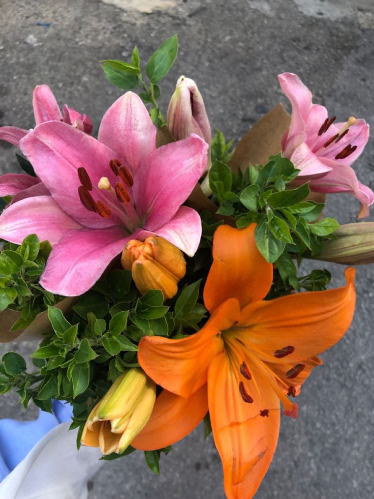 onlyyouforeveer's tweet photo. bouquet of lilies 💐 <3 https://t.co/QW8x9kaWuy