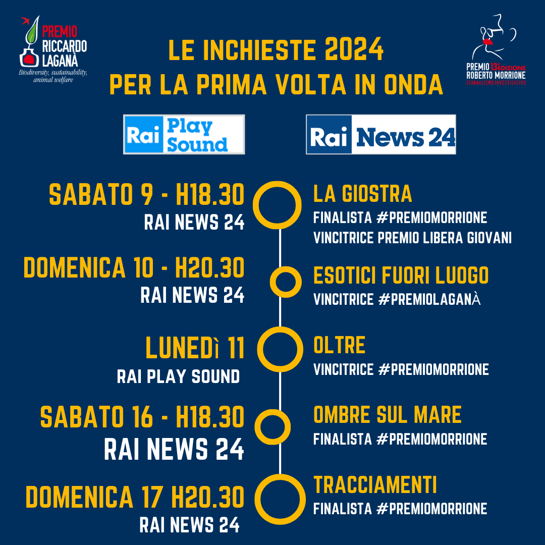 premiomorrione's tweet photo. #giornalismo da oggi su @RaiNews e @raiplaysound le inchieste finaliste e vincitrici 2024 #premiomorrione #premiolaganà
Complimenti ancora a Iacopo Valori @Le_caterinarie Francesca Sapio @BeatrixPetrella @AntoniaFerri96
@AriannaEgle @EdoardoAnziano @fracicculli @RobiLancellotti https://t.co/9hCv3VyeIS