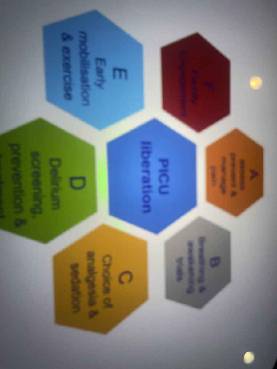 ors_gaw's tweet photo. Great talk @e_ista on sedation #PedsICU #SARNEPI2024 goal directed sedation and multidisciplinary teams are key @MarcoDaverioMD @AmigoniAngela @FChiusoloMD @ESPNIC_NursSci @ESPNIC_Society https://t.co/I05IYFzqRi