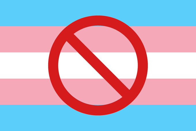 🚨 BREAKING: Donald Trump says he will ban gender reassignment surgery for children in all 50 states.

Do you support this?

A. YES 
B. NO