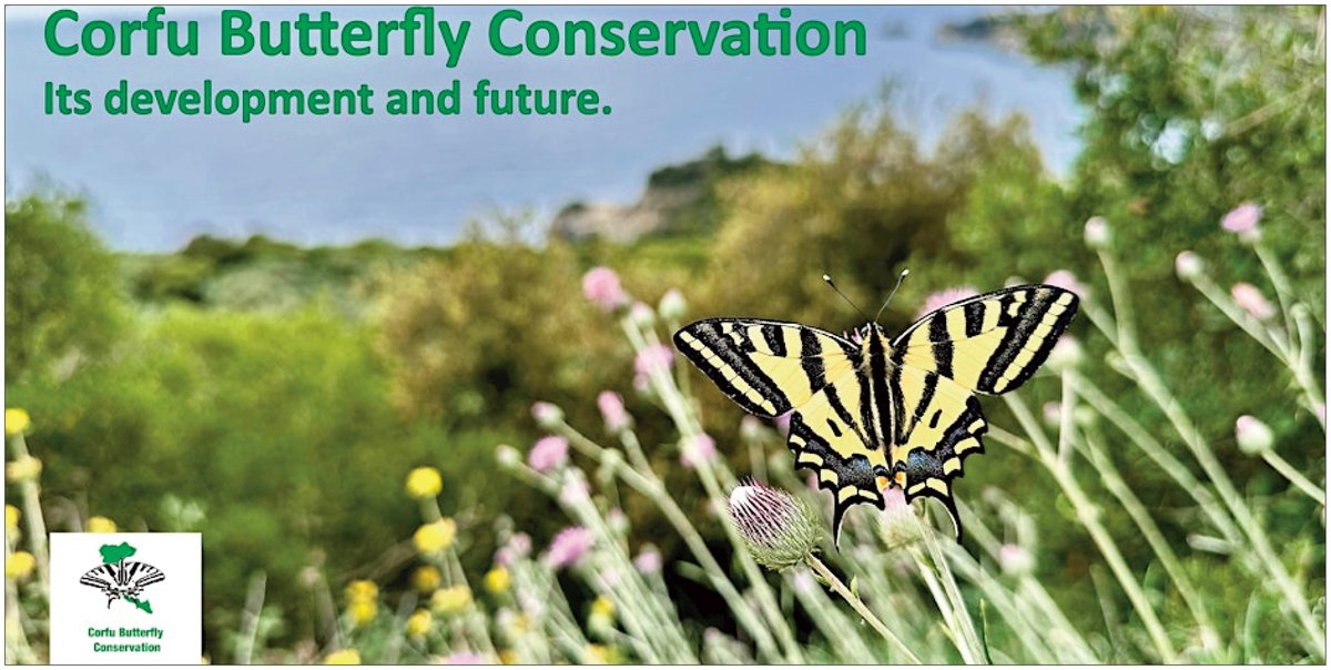 FREE Zoom talk, Tue, Nov 12, 7pm: Butterfly Conservation in Corfu - Dr Dan Danahar butterfly-conservation.org/.../surrey.../… <a href="/BC_Surrey/">BC Surrey</a>, <a href="/savebutterflies/">Butterfly Conservation 🦋</a>