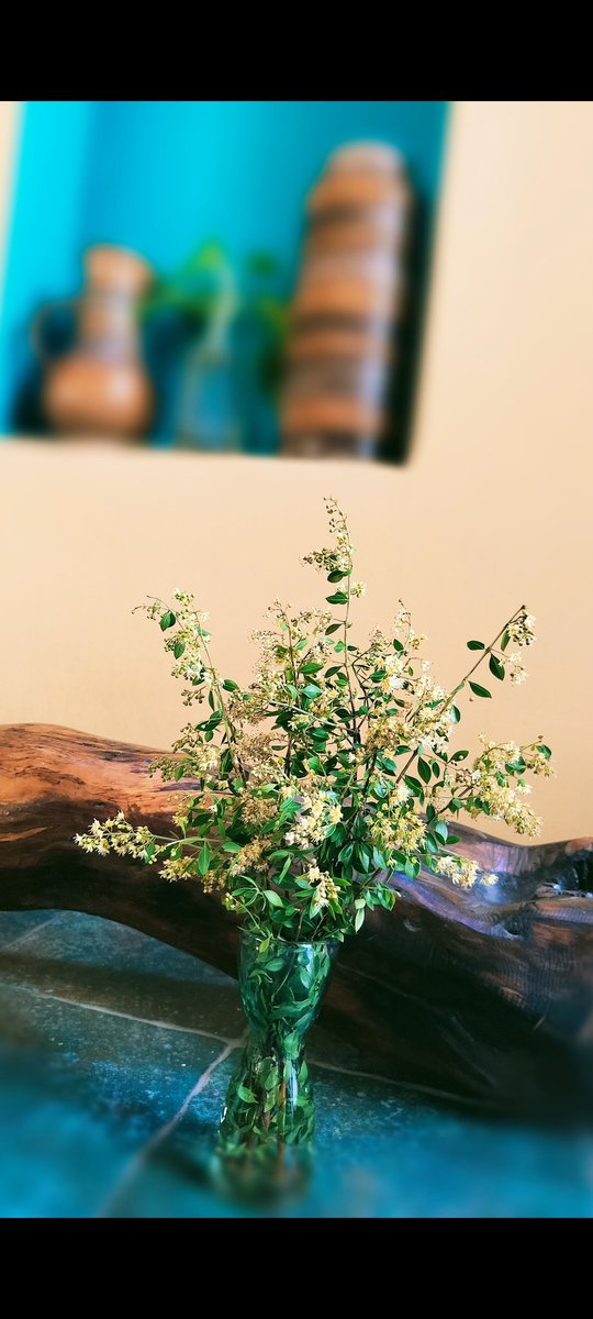 Aparna Karthikeyan tweet media