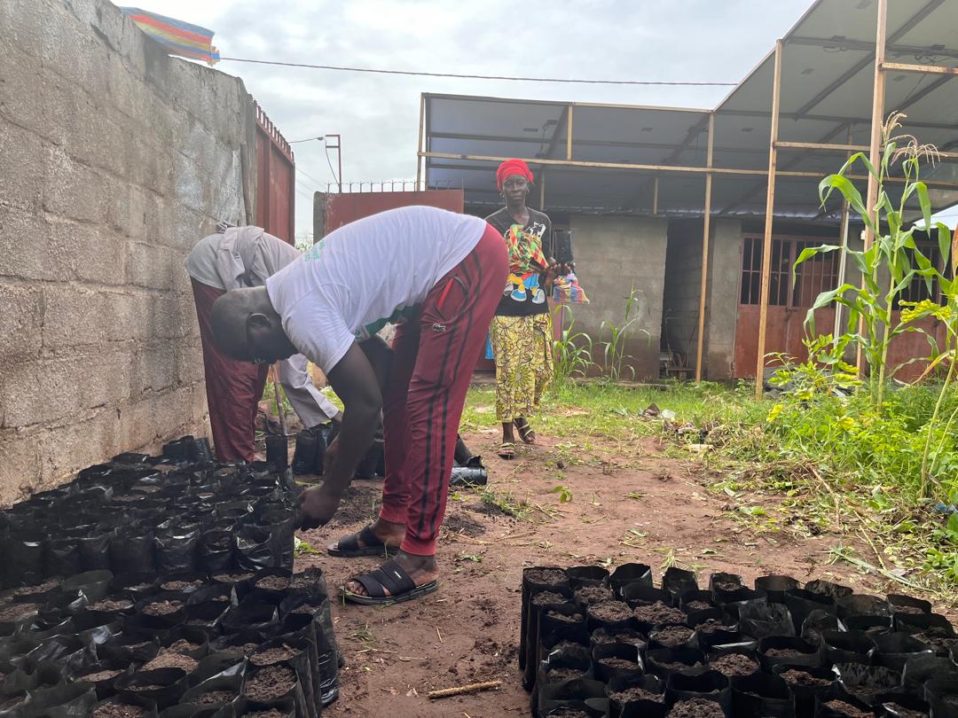 EbrimaC09053674's tweet photo. "We must dare to invent the future" [Thomas Sankara]

Soiling our hands to craft a sustainable future. https://t.co/hpPm8Hpyzv