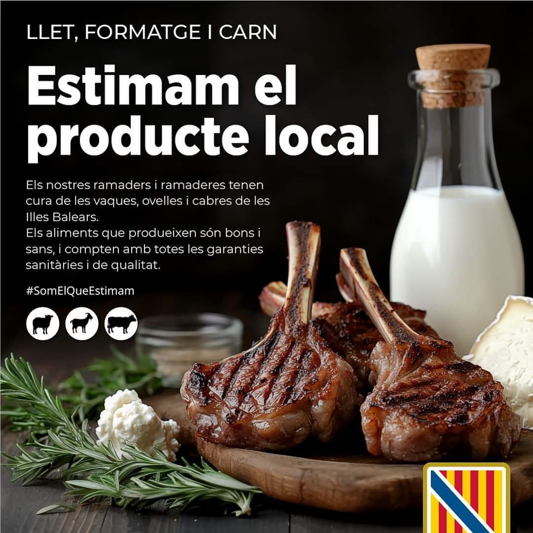 ffernandezsuch's tweet photo. 👩‍🌾🐑🧑‍🌾 Nuestros ganaderos y ganaderas, especialmente los que se dedican 🐏🐑 OVINO necesitan el apoyo. Ellos cuidan de sus animales y sufren cuando enferman como ahora con la lengua azul.

🍖🧀 Consumir sus productos es el principal apoyo que podemos darles. https://t.co/qayJvJmliD