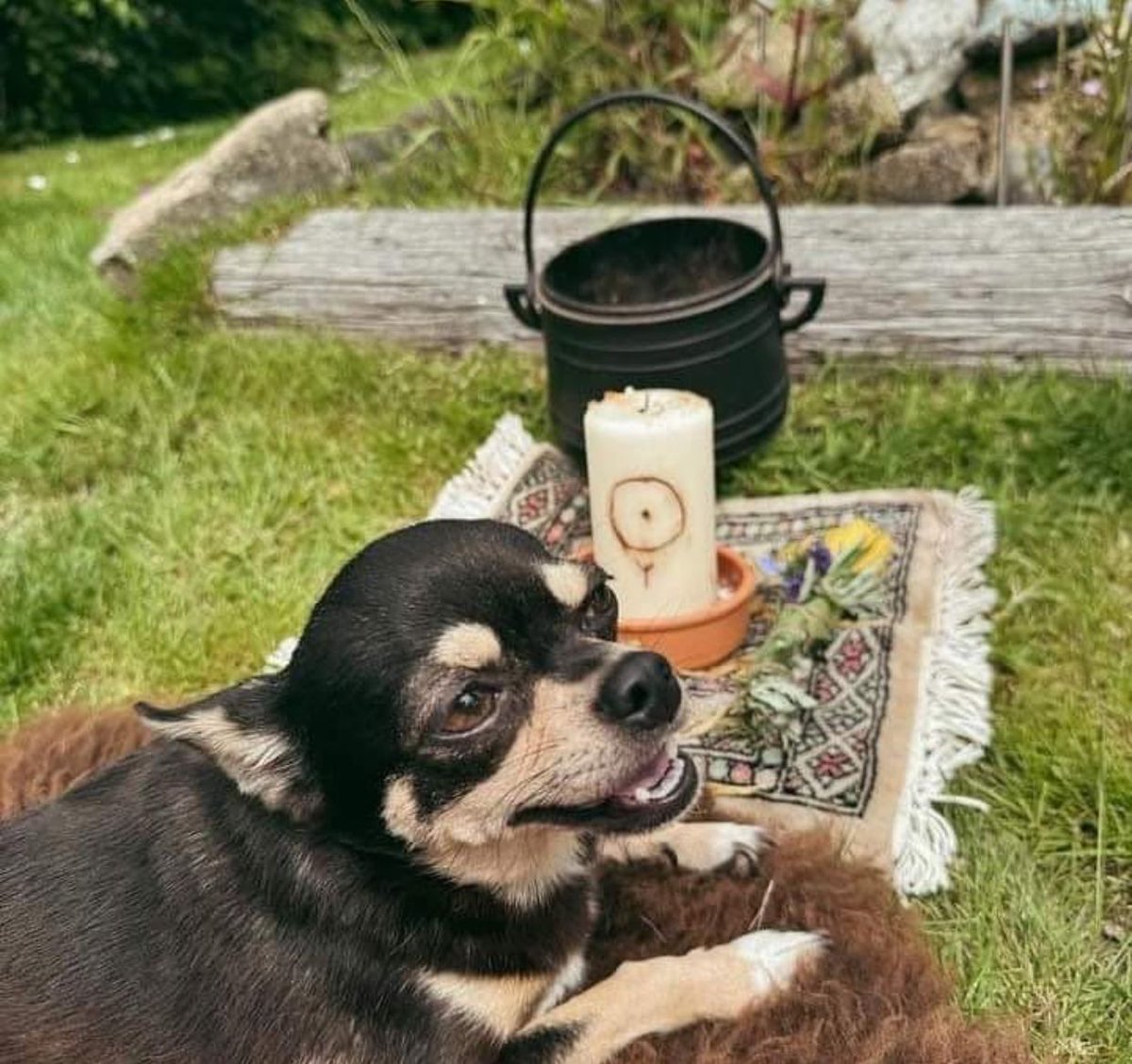 Travis Sarah Psychic Medium (@mediumtravis) on Twitter photo 