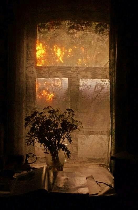 BeOrNotToBe_1's tweet photo. 'Morning arrives as a mother's gentle hand, inviting the dreams of night to enter the day.'

Angela Abraham
. https://t.co/JXsdrEGQig