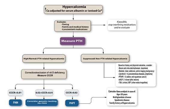 sociedadSEEN's tweet photo. 🦴Primary hyperparathyroidism: from guidelines to outpatient clinic
📌 El #HPTP es una enfermedad endocrina común caracterizada por hipercalcemia debido a una secreción inapropiadamente alta de PTH
https://t.co/vqU19tmf6g
@oseoseen https://t.co/qAsaKnsKl0
