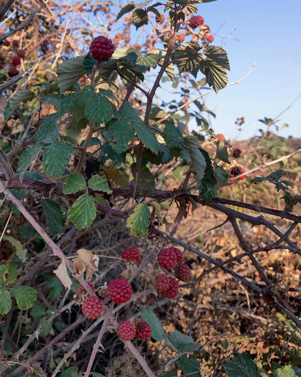 Günaydın! Her yeni gün, taze bir başlangıç için bir fırsattır. Bugün de senin günün, enerji ve umutla ilerle...
#deprem
