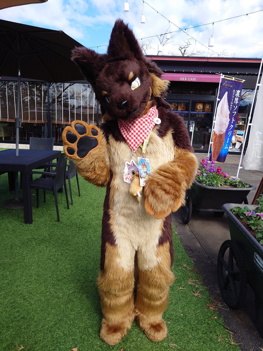 inubelly's tweet photo. コウくん！！コウくんかわいいね！かわいいnあああああああああああ！！！

#kemocon17 https://t.co/k1HLpoDWmE