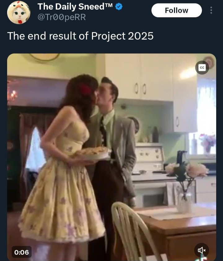 Their entire worldview is about replicating a world that only existed in vacuum cleaner commercials in 1958