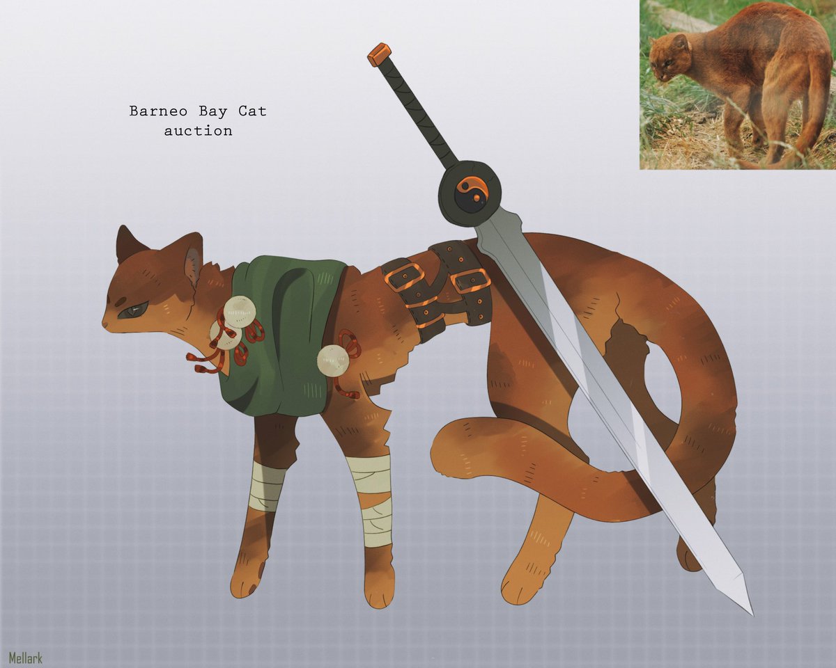 mellark___'s tweet photo. Barneo bay cat 🐱 
Auction open: https://t.co/YL5L5S3KcC

#adoptables #characterart #feline #OC #furry https://t.co/mhs0NKQ2vt