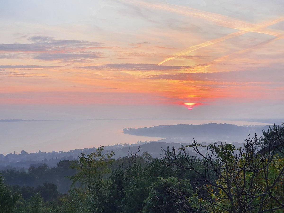 Luca Rossi tweet media