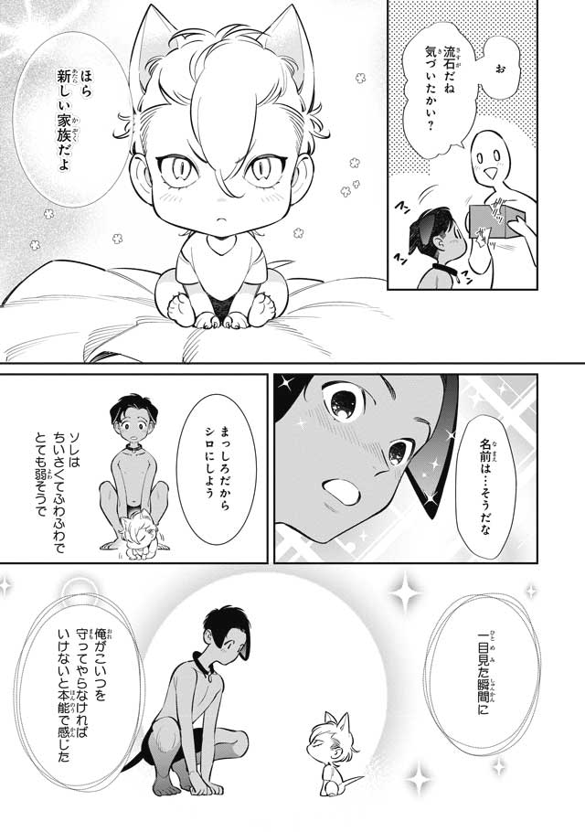 (2/8) 