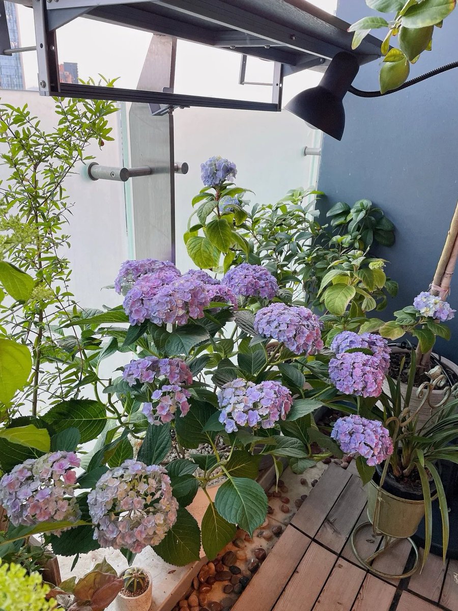 trant_d's tweet image. A friend said that I seemed to be living a very comfortable life. I said not really, I was just used to not complaining.