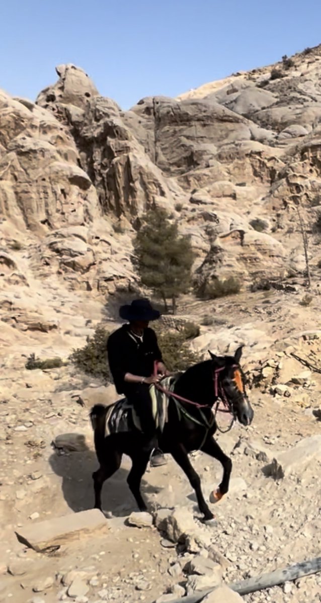 shinigamiXBT tweet media