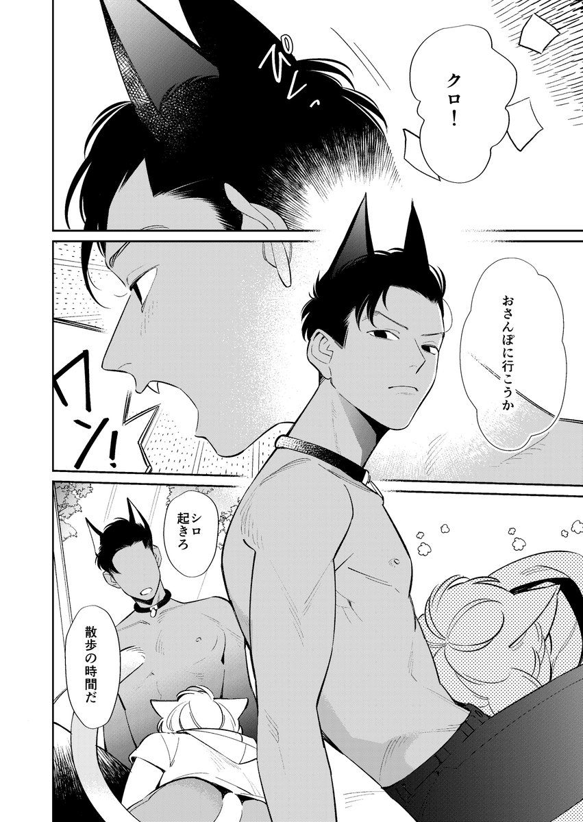 (8/8) 