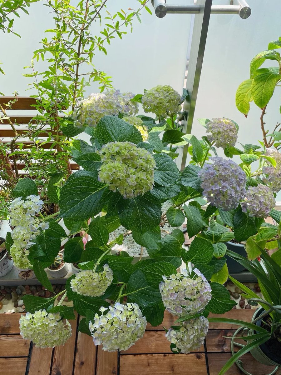 trant_d's tweet image. A friend said that I seemed to be living a very comfortable life. I said not really, I was just used to not complaining.