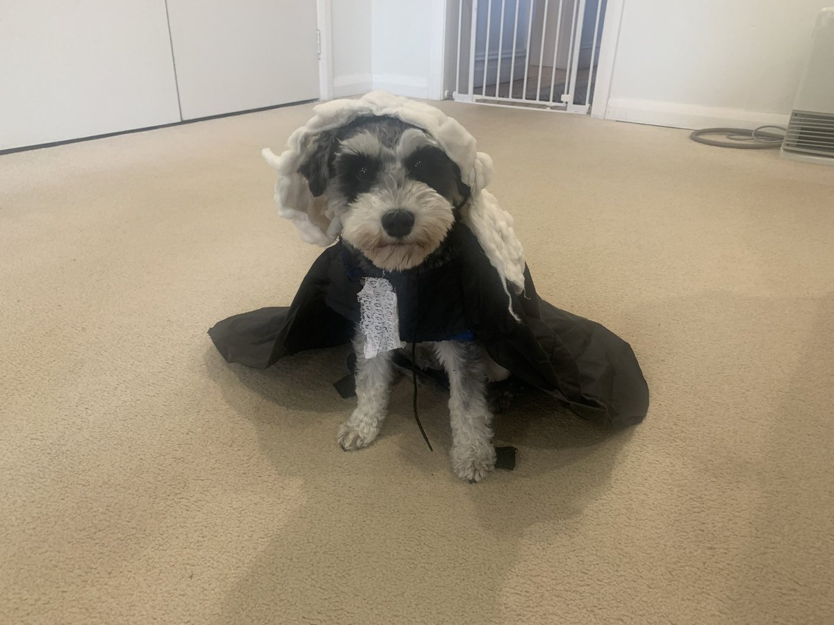 Geoff Stein tweet media