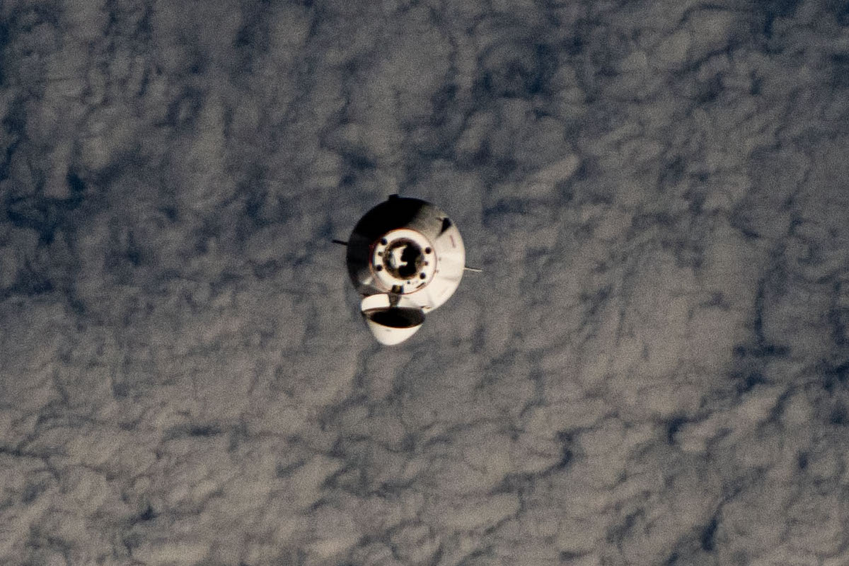 Alive Universe tweet media