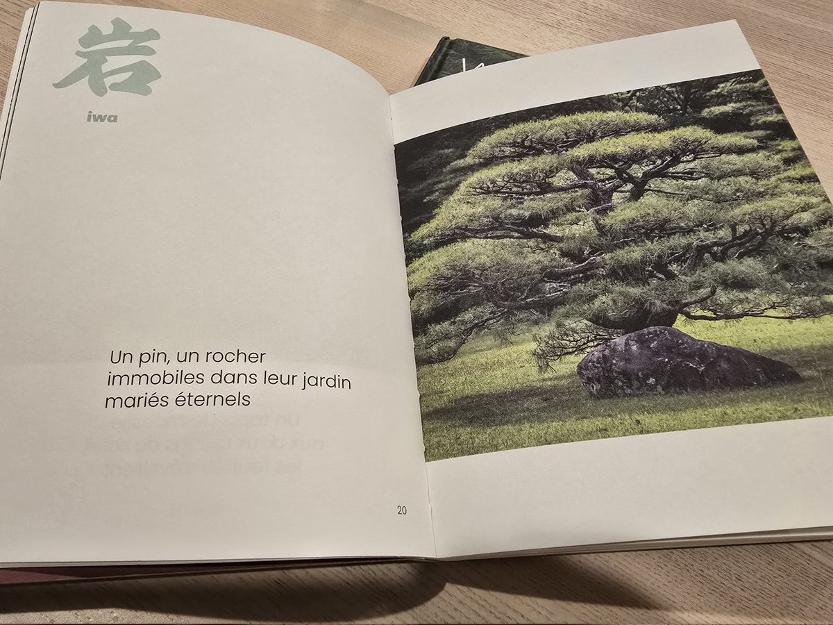 Wabi Sabi est disponible en librairie !