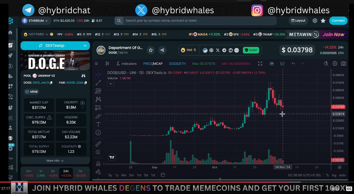 Hybrid Whales™ tweet media