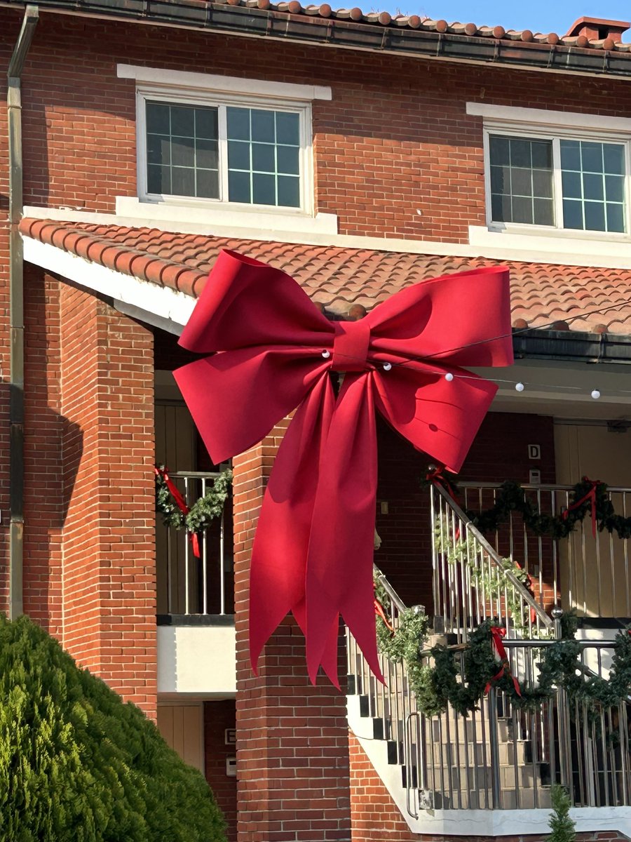 dongbang 👾꧁IP꧂ tweet media