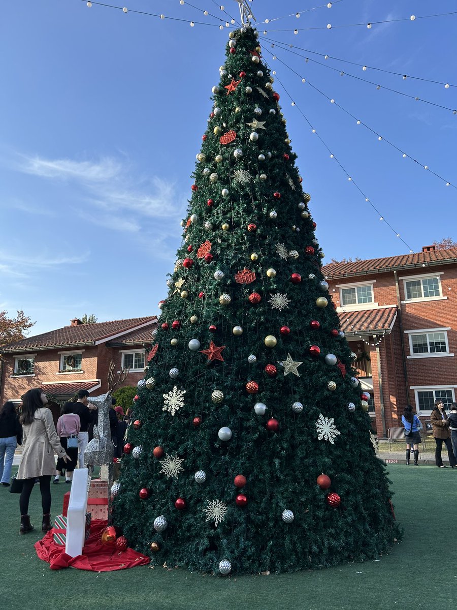 dongbang 👾꧁IP꧂ tweet media