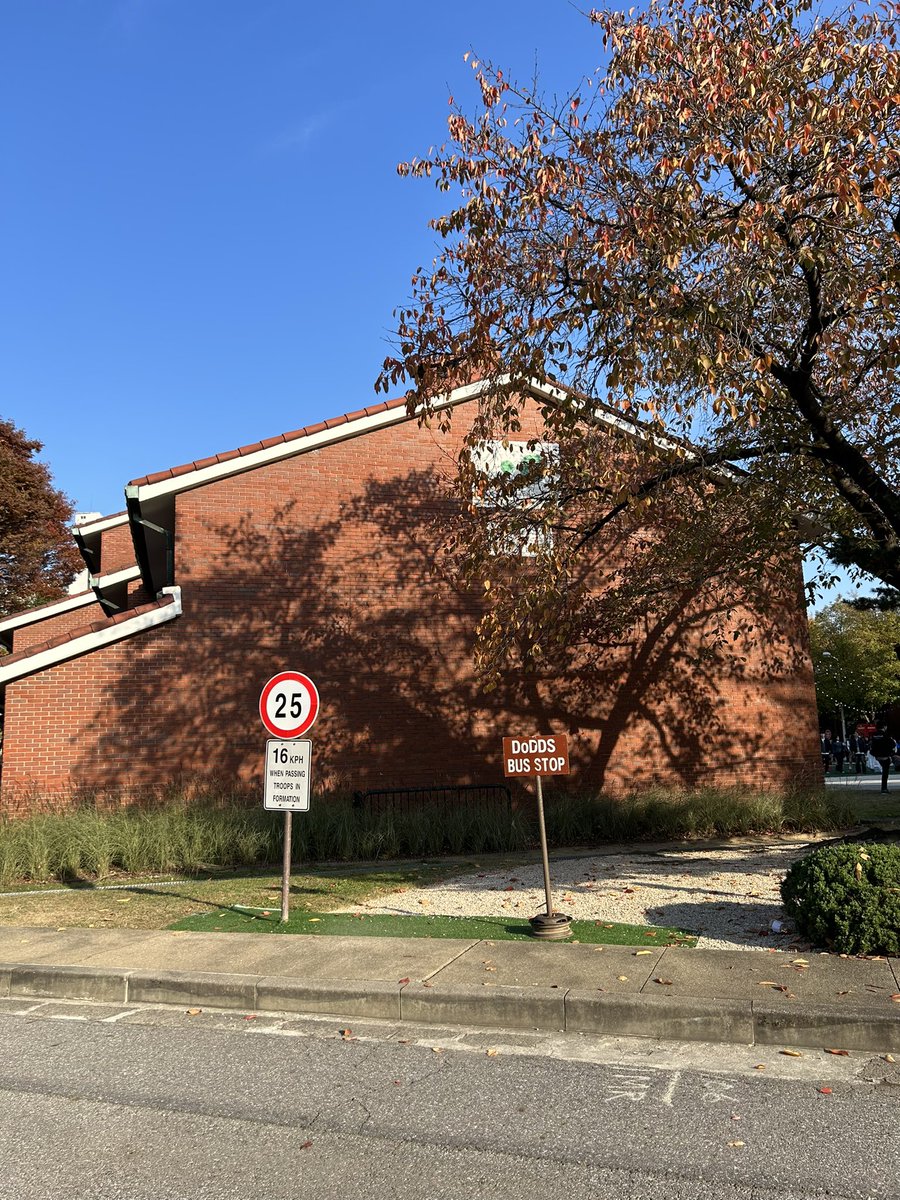 dongbang 👾꧁IP꧂ tweet media