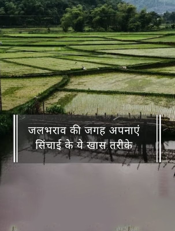 Irrigation & Water Resources Department, UP tweet media