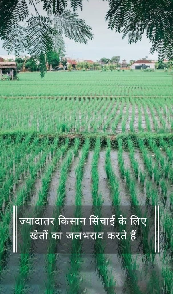 Irrigation & Water Resources Department, UP tweet media