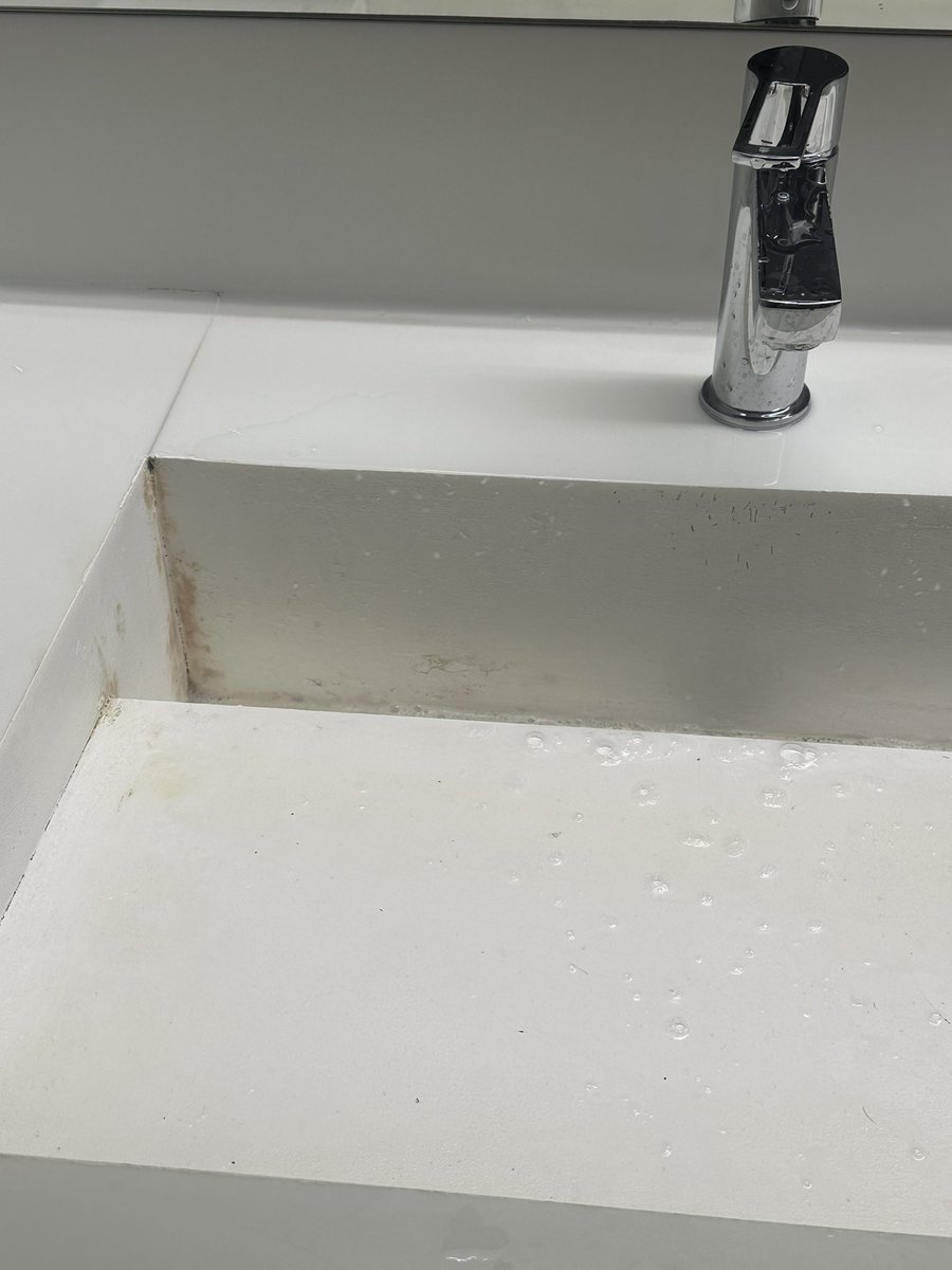 Serendipityo0o tweet media