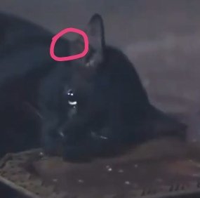 ยกเลิกกฎหมายเยาวชน tweet media